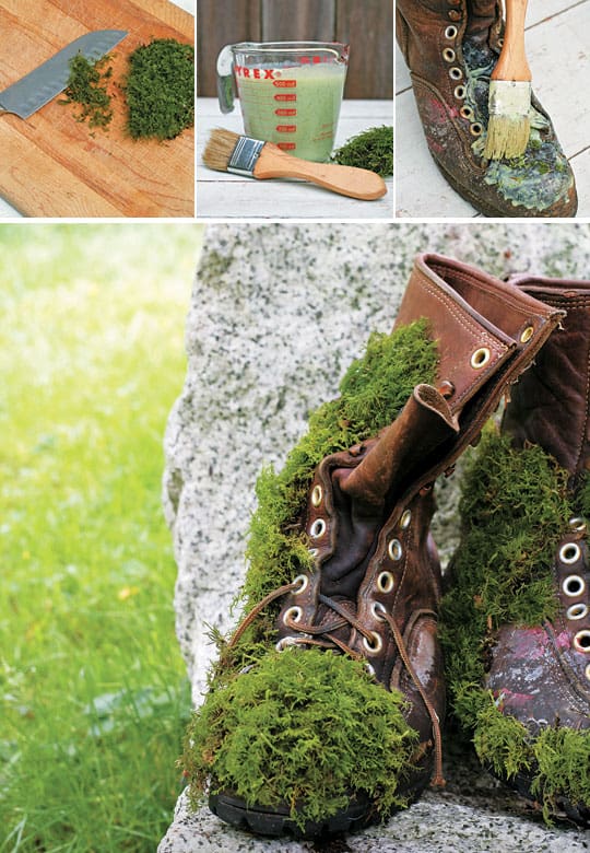 Grow moss on leather boots