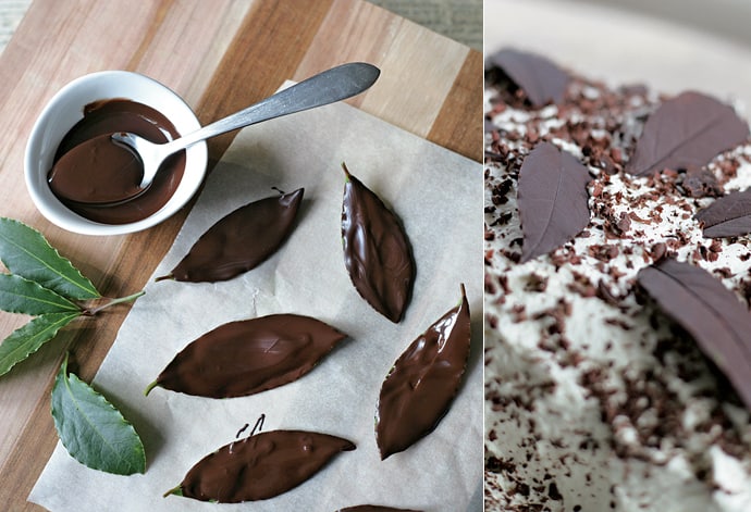 Chocolate covered leaves