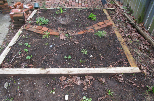 compacted soil; gardening lessons from an expert