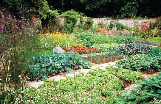 Potager at Hadspen House, Somerset