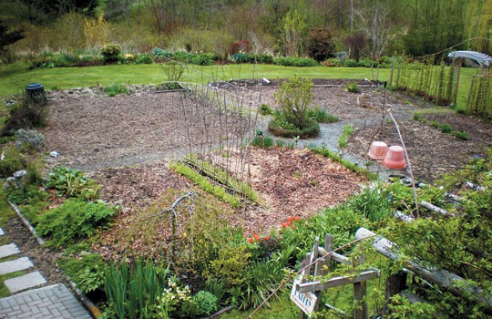 Layout of kitchen garden