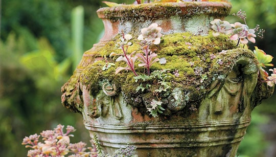Garden antiques and pots are used in outdoor spaces
