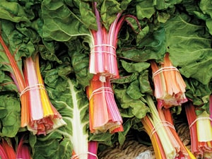 'Five Colour Silverbeet' chard is both gorgeous and delicious