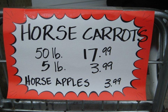 Horse supplies at Cannor Nursery in Chilliwack