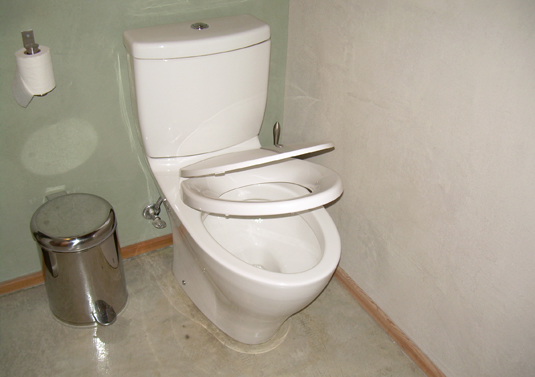 dual-flush toilets