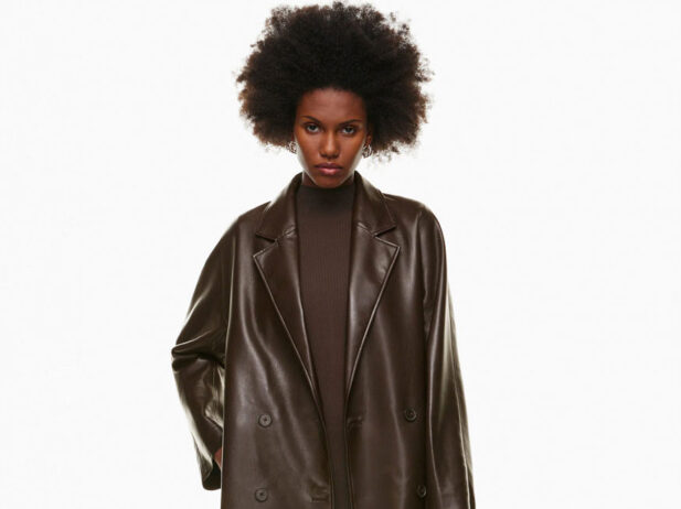 Aritzia leather trench coat