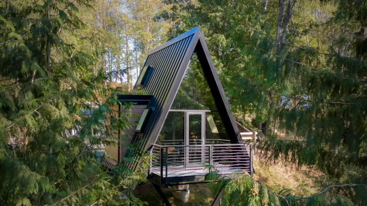 Airbnb Chilliwack treehouse