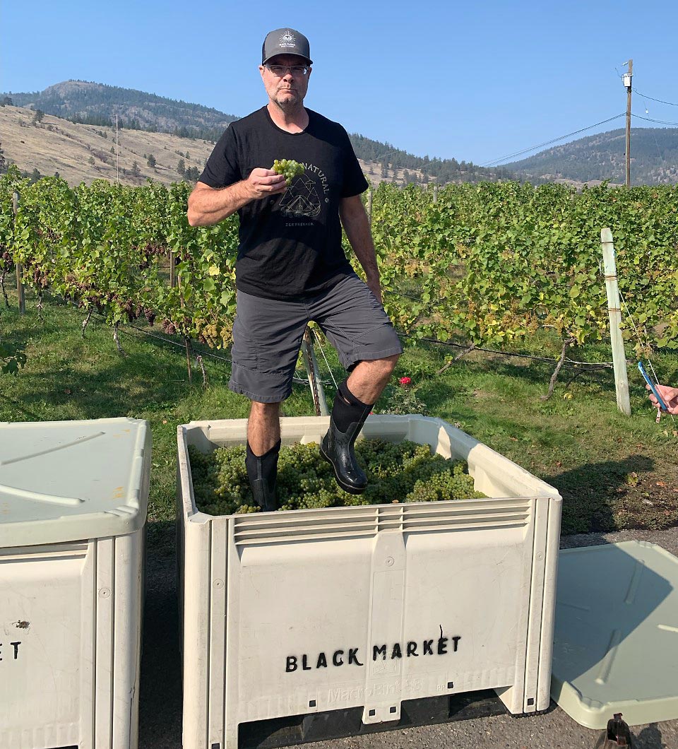 Rob Hammersley, Owner/Winemaker, Black Market Wine Co.