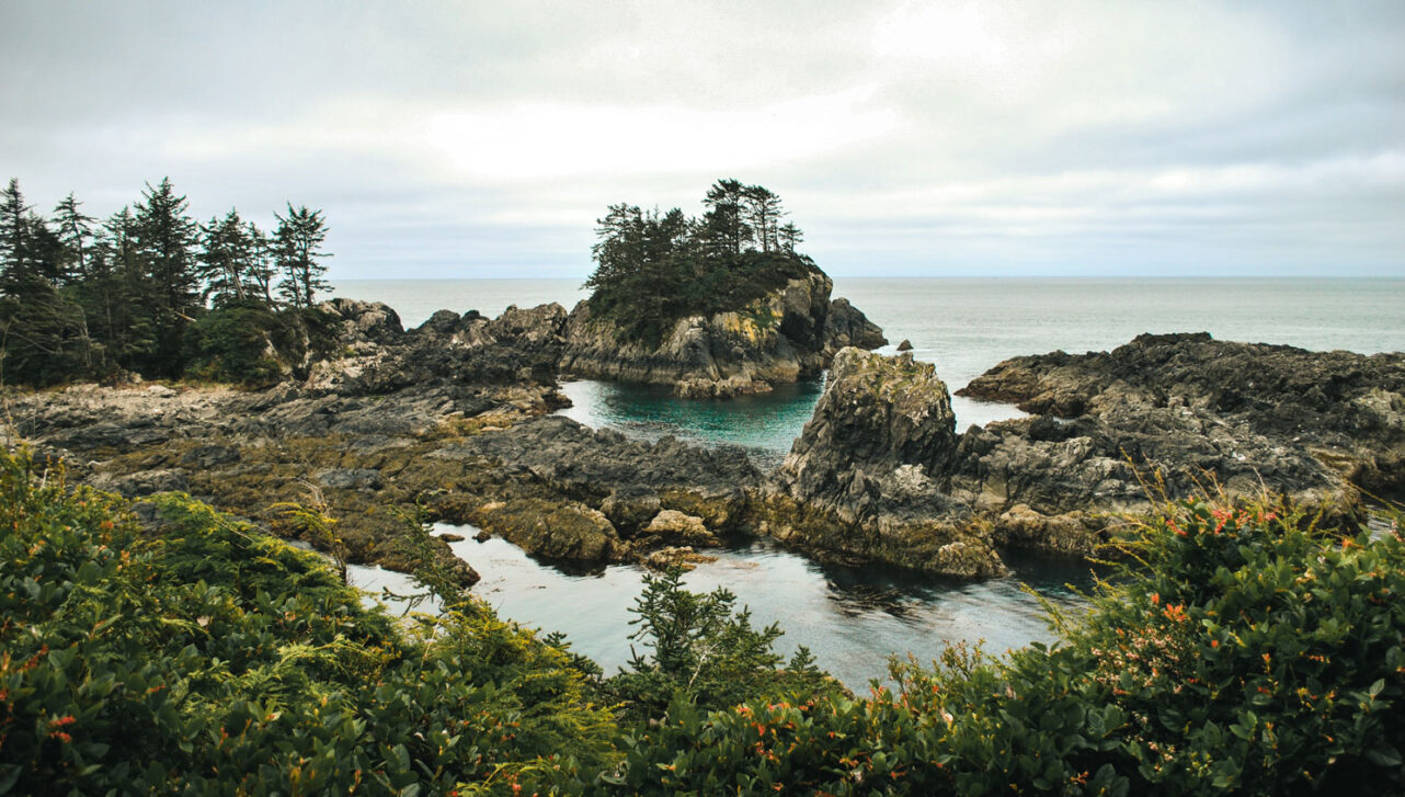 Wild Pacific Trail in Ucluelet