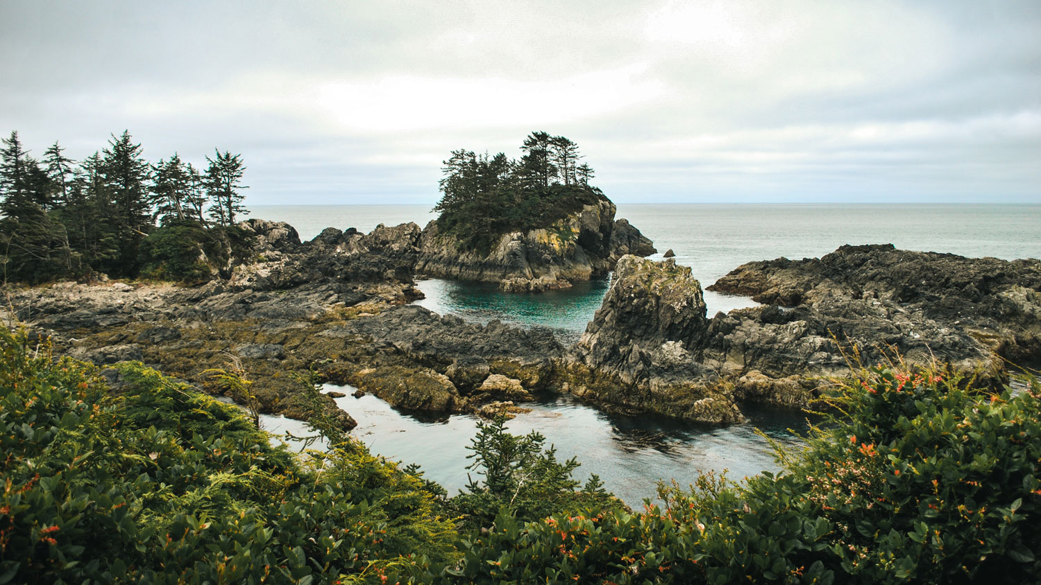 Wild Pacific Trail in Ucluelet