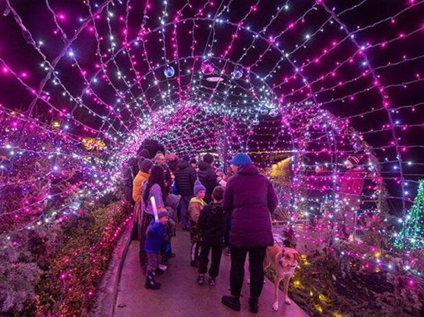 10 Places to See Holiday Lights in Metro Vancouver
