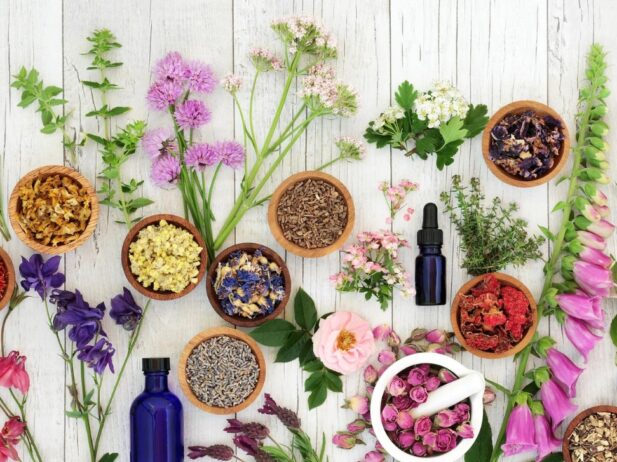 Nature’s Pharmacy: BC’s Best Herbal Boutiques